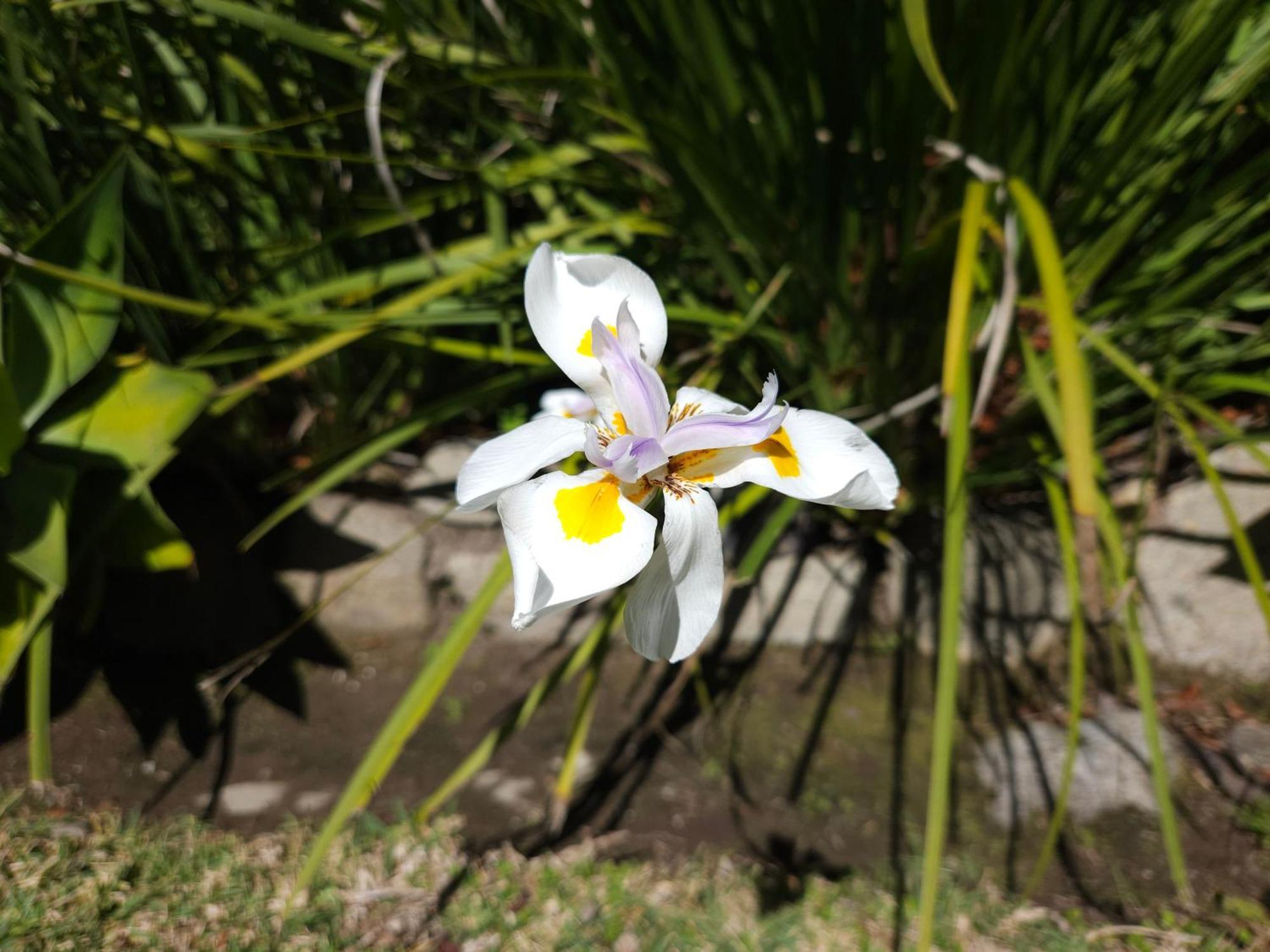 Stannards Guest Lodge 4 Star B&B, Knysna Esterno foto