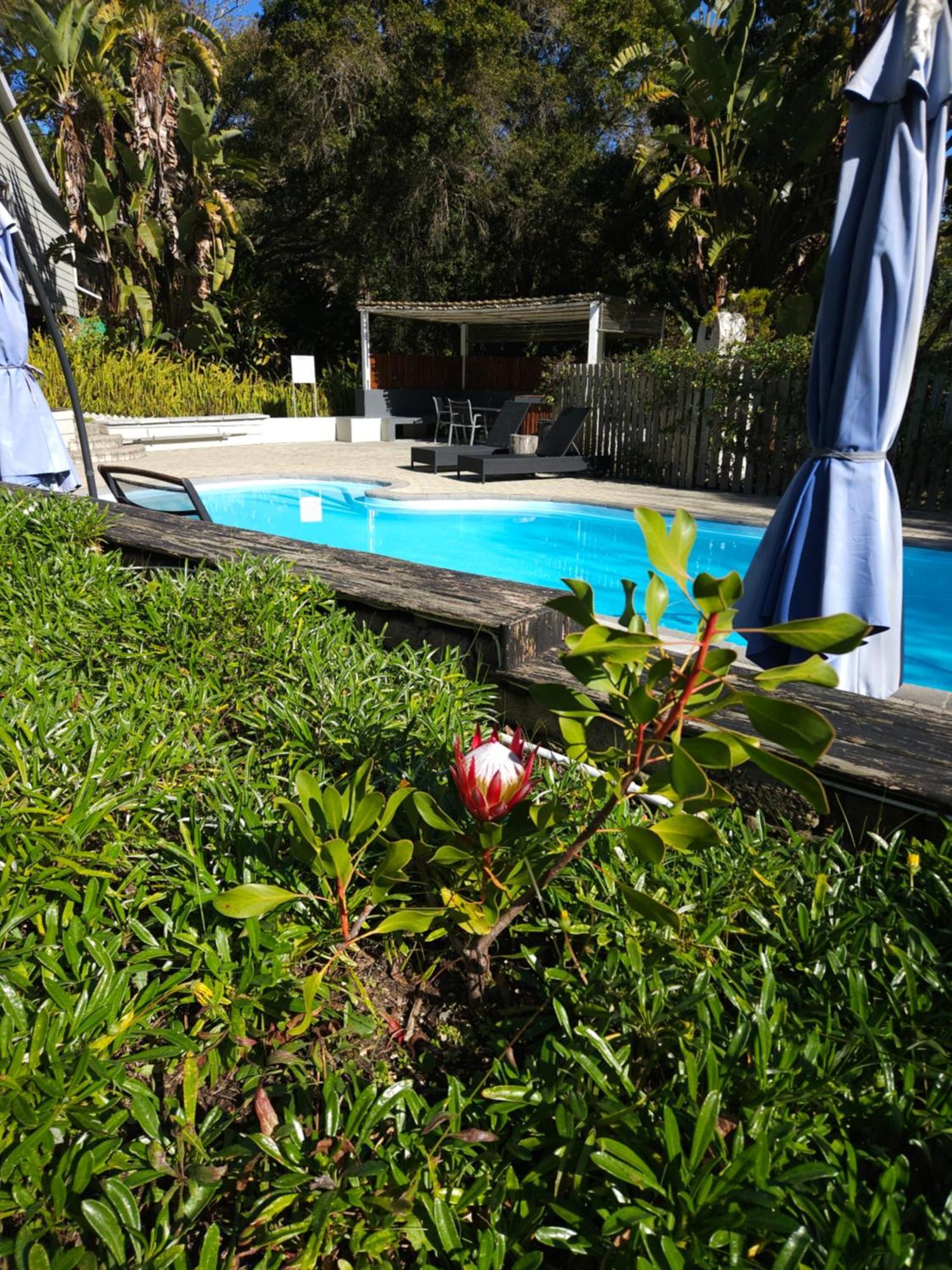 Stannards Guest Lodge 4 Star B&B, Knysna Esterno foto